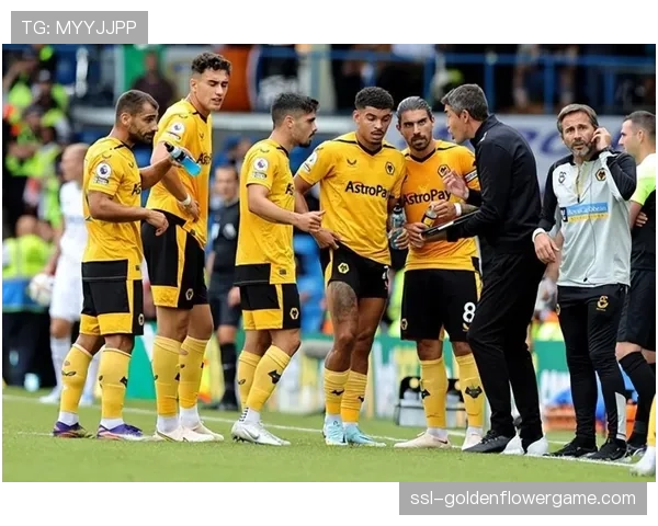 狼队对阵富勒姆前瞻：两队均擅防守反击，比赛或陷入僵局